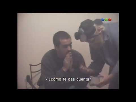 Videomatch   Cámara intrusa a domicilio 05   Sammy Fumigadores