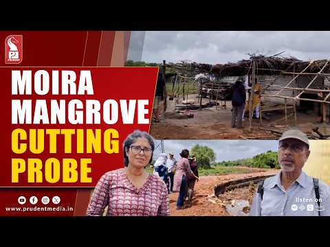 GCZMA Inspects Alleged Large-Scale Mangrove Destruction Along Moira Riverbank