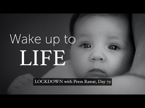 Lockdown Day 79 with Prem Rawat - Wake Up To Life