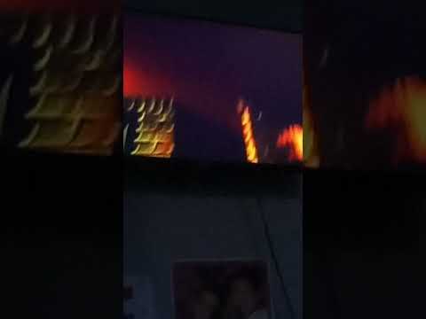 #fedevigevani #picusoficial #dosogasteam