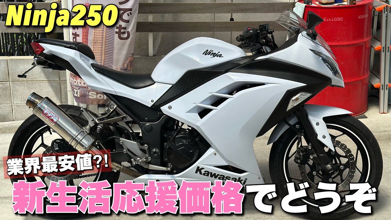 【ニンジャ250】を紹介しながら雑談します