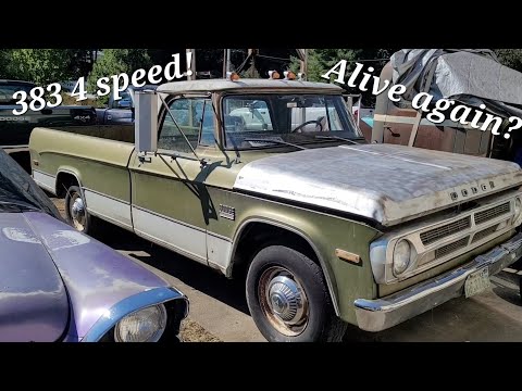 Big Block Sweptline Will It Run Again? 1971 Dodge D200 383 4 speed!