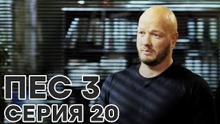 Сериал ПЕС - все серии - 3 сезон - 20 серия - смотреть онлайн
