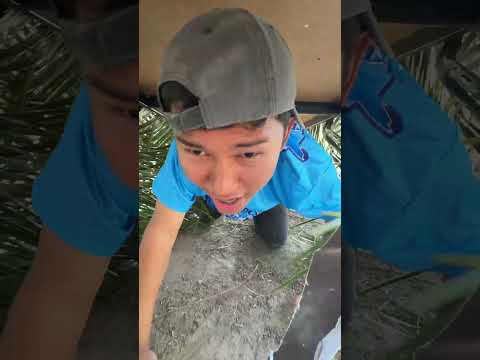 แก๊งปลาทูเข้าค่ายลูกเสือ