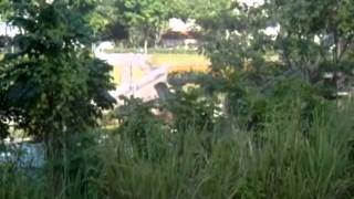 preview picture of video 'KTM Railway Walk - From Bukit Timah (Rifle Range) to Hillview via Rail Mall [market2garden]'