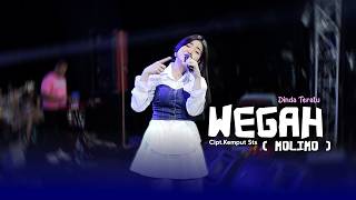 Download lagu WEGAH - ( MOLIMO ) DINDA TERATU | STS MANAGEMENT ( LIVE MUSIC) mp3