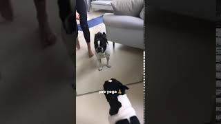 Roshelle - IG Stories