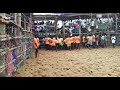 மருது K V K பிரதார்ஸ் காளை நெய்காரபட்டி 