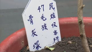 [問卦] 到底是哪個天才禁止流浪狗安樂死的==