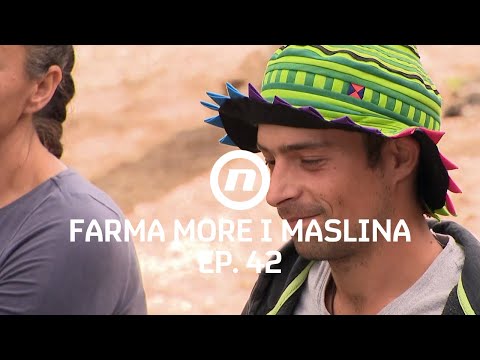 Izabran drugi duelist - Epizoda 42 | Farma More i Maslina