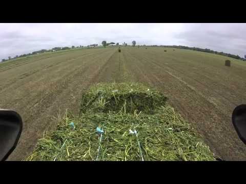 Making Silage Bales with New Holland Big Baler 330R @ 3" cut length