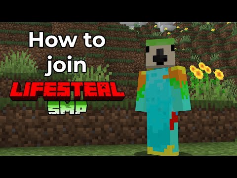 How you can Join the Lifesteal SMP