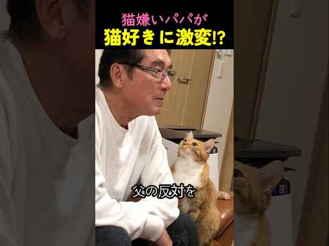 ❤️21 million❤️The moment my cat-hating dad suddenly became a cat lover