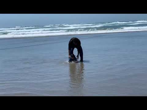 Hriday at Nye Newport Beach