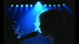 The delays - Lost in a melody