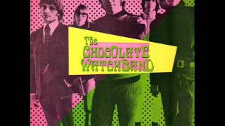 The Chocolate Watchband - sitting there standing