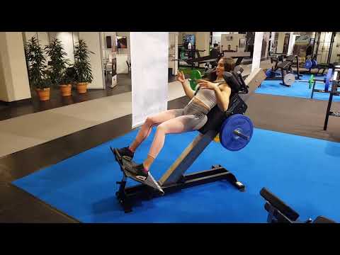 Gymleco hacklift 244