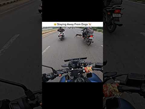 😣 Stay away From Dogs 🐶 #shorts #motovlog #rider