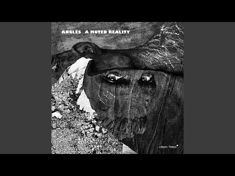 Muted Reality online metal music video by ANGLES