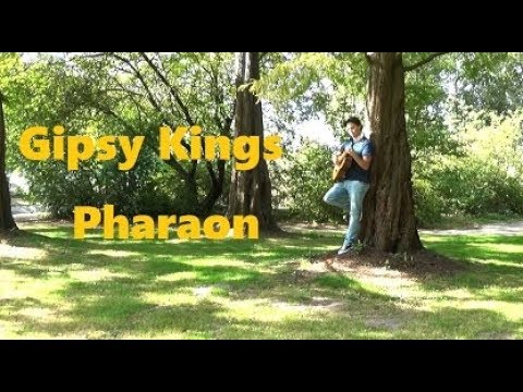 Gipsy Kings - Pharaon guitar cover by Rolf van Meurs