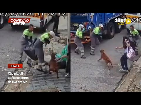Vídeo: Cão pitbull ataca coletores de lixo em SP.