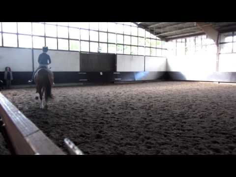 Renoir (Royal Blend x Warkant)