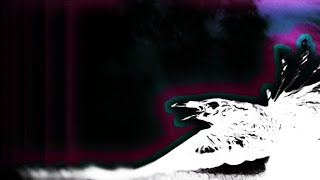 The Raveonettes - Red Tan