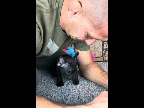 Video 1