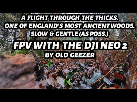 DJI NEO 2, SLOW AND GENTLE FLIGHT THROUGH ANCIENT WOODS
