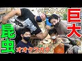 日本一のマッチョが巨大な昆虫に遭遇!
