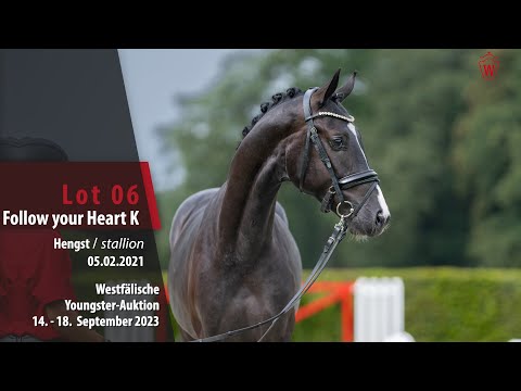 Youngster-Auktion Lot 06 Follow your Heart K Hengst v. Follow Him's Schönweide -  San Romantiko