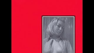 Ralph Lundsten - Discophrenia ( The Persuader Remix )