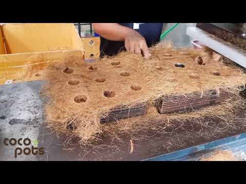 Biodegradable Seedling Pots