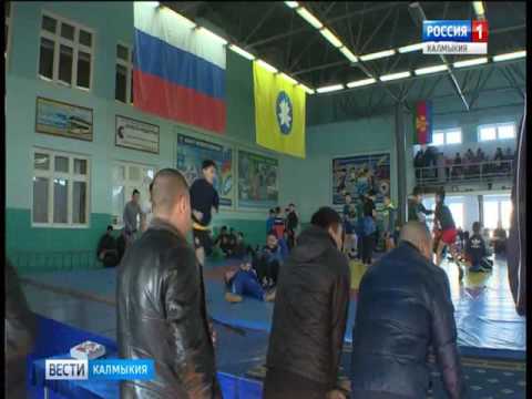Cтартовал республиканский фестиваль «Юный борец