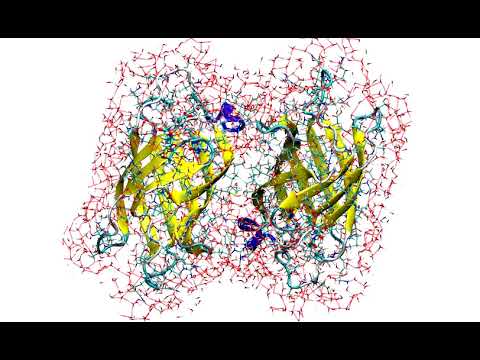 MD simulation of Protein-ligand complex with deep learning potential ANI-1x