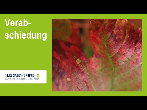 Endosummer 2022 – Neues aus Endoskopie und OP – Verabschiedung