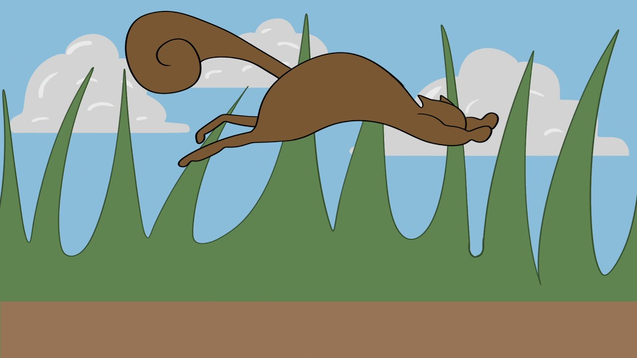 Squirrel Run Animation Test