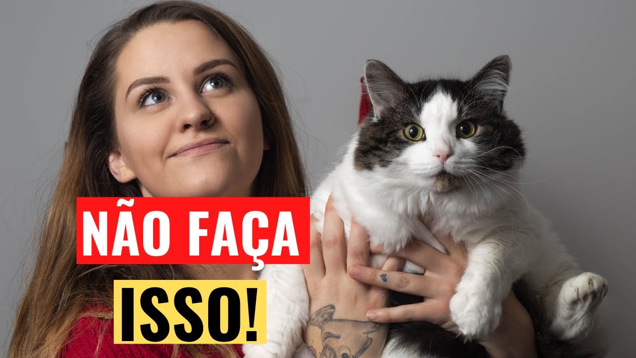 Se Você Faz ISSO, Seu Gato NÃO VAI VIVER MUITO!