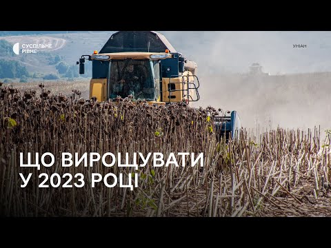 В агросекторі критична нестача працівників 1 В агросекторі критична нестача працівників 0