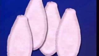 How to Get Rid of Harmful Parasites and Worms in Your Body