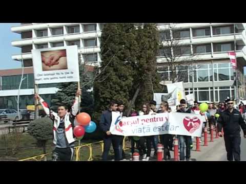 Marsul pentru Viata - Tulcea 2015