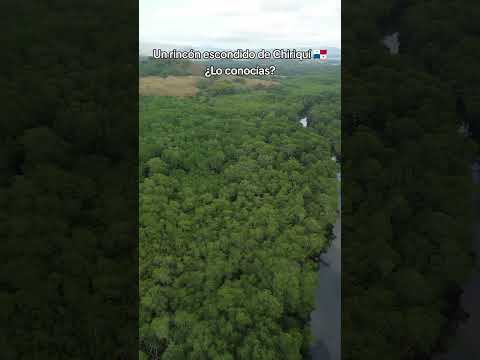 Un Rincón Escondido En Remedios Chiriquí ❤️💚