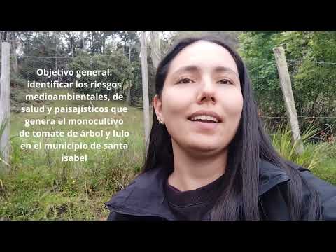 Propuesta pedagógica Santa Isabel, Tolima 