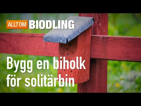 , title : 'Bygg en biholk för solitärbin - Pollinering'