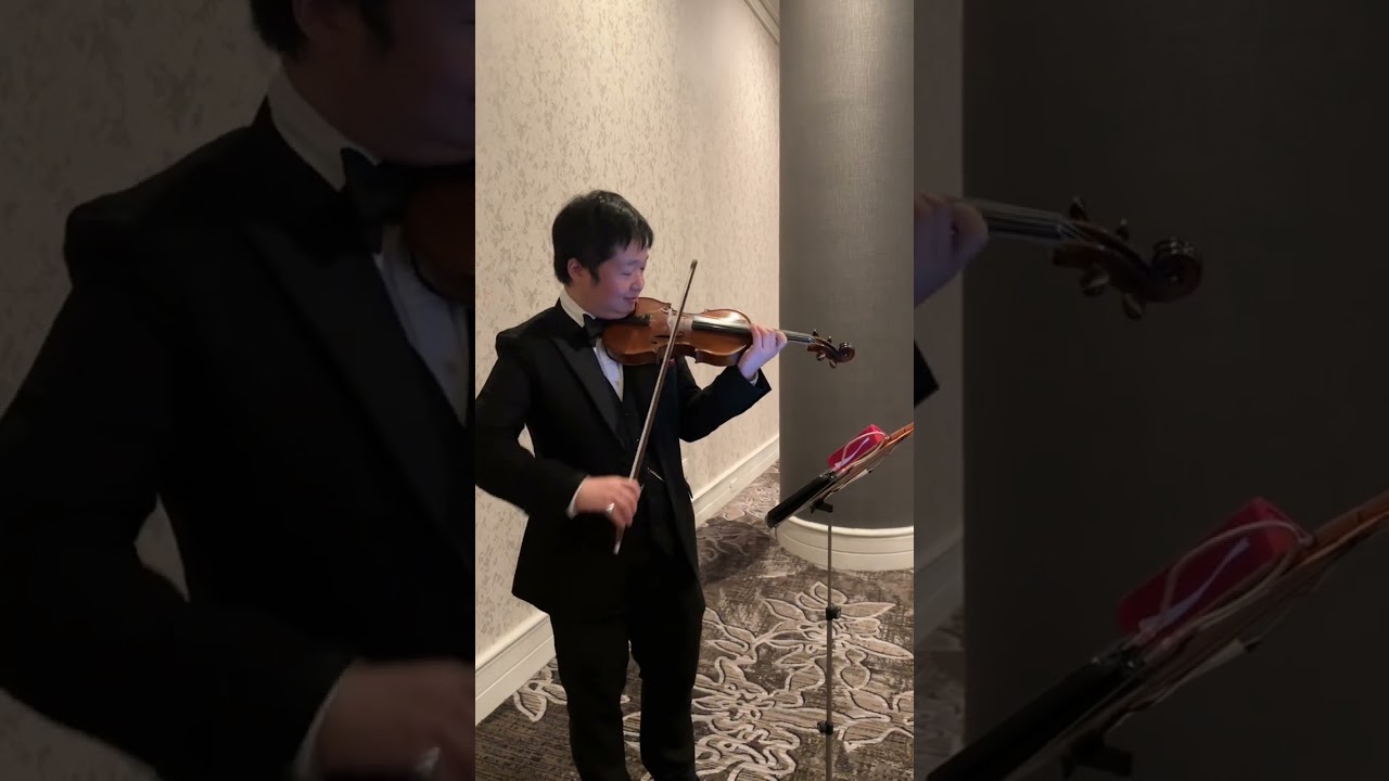 Promotional video thumbnail 44 for Xinou Wei Strings