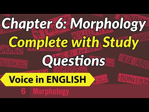 Chapter 6 | Morphology | Complete with Solved Study Questions | The Study of Language | [ ENGLISH ]