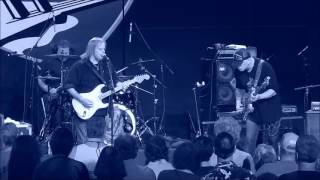Walter Trout - Haunted By The Night