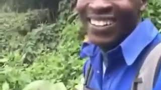 Download lagu OK MEME SOUND EFFECT mp3