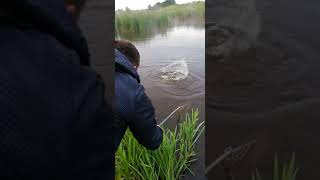 Рыбалка на днестре в ивано-франковской обл