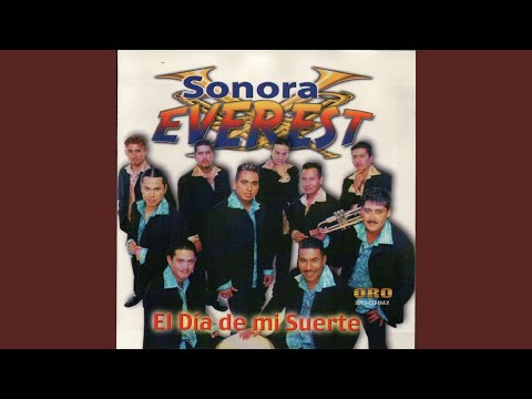 Para Olvidarme de Ti